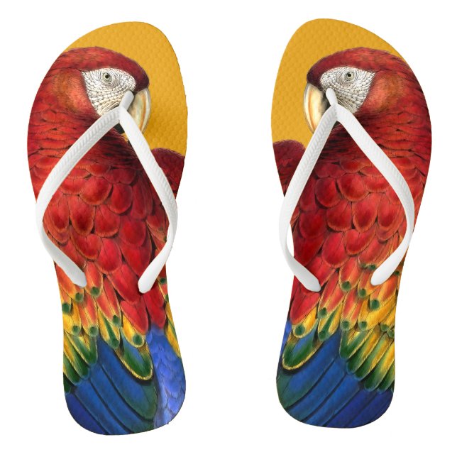 Rainbow Macaw Parrot Lover Bold und Summery Flip Flops (Fußbett)