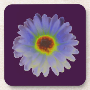 Rainbow Marigold Cork Untersetzer