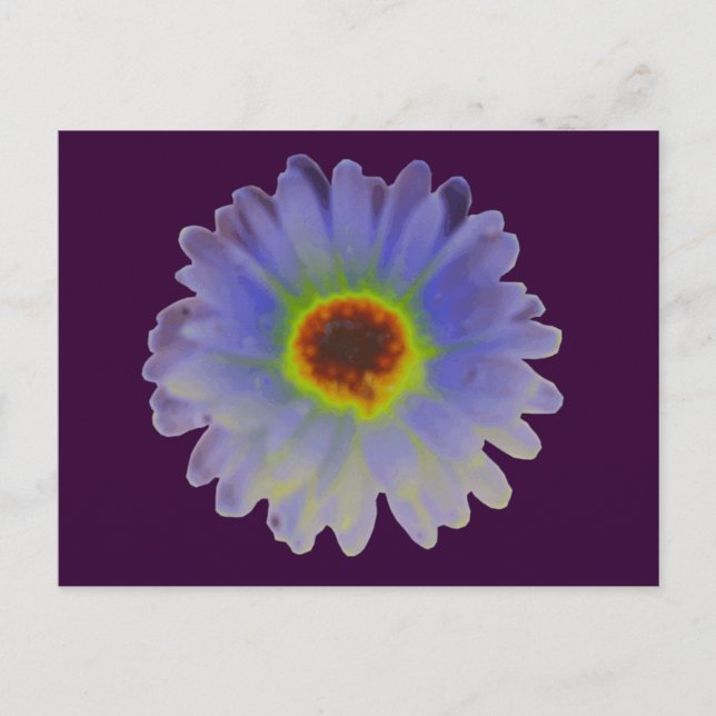 Rainbow Marigold Postcard Postkarte (Vorderseite)