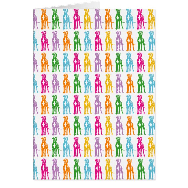 Rainbow Mastiff Pattern (Vorne)