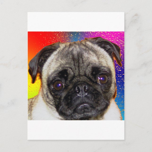 Rainbow-Mops Postkarte (Vorderseite)