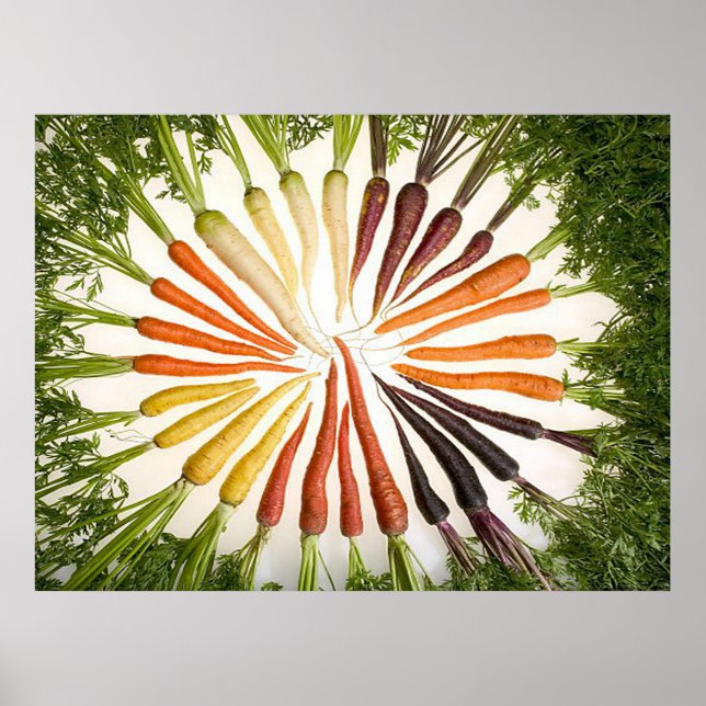 Rainbow Multicfarbene Carrots Rectangle Poster (Vorne)