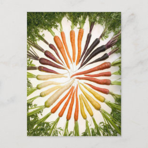Rainbow Multicolored Carrots Postkarte