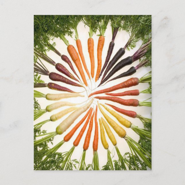 Rainbow Multicolored Carrots Postkarte (Vorderseite)
