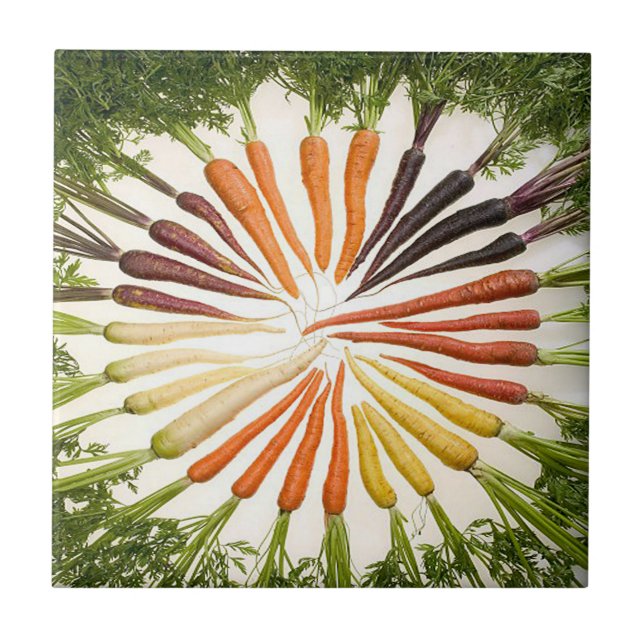 Rainbow Multicolored Carrots Tile Fliese (Vorderseite)