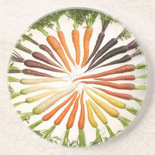 Rainbow Multicolored Carrots Untersetzer