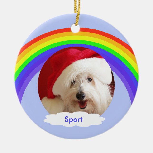 Rainbow on Blue Dog Memorial Christmas Ornament (Vorne)