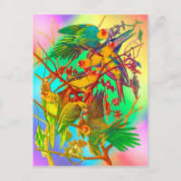 Rainbow Parrot Parade