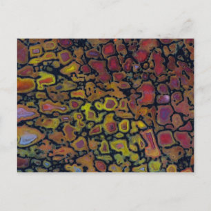 Rainbow Petrified Dinosaurier Bone Postkarte