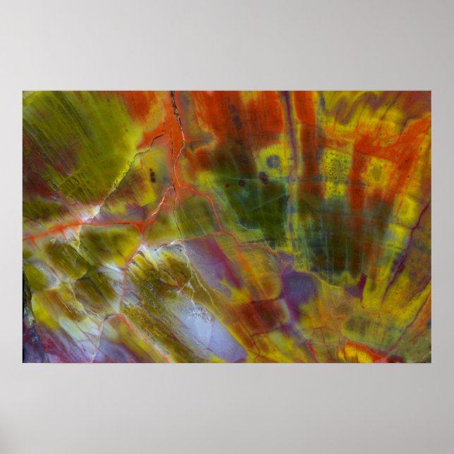 Rainbow Petrified Wood Poster (Vorne)