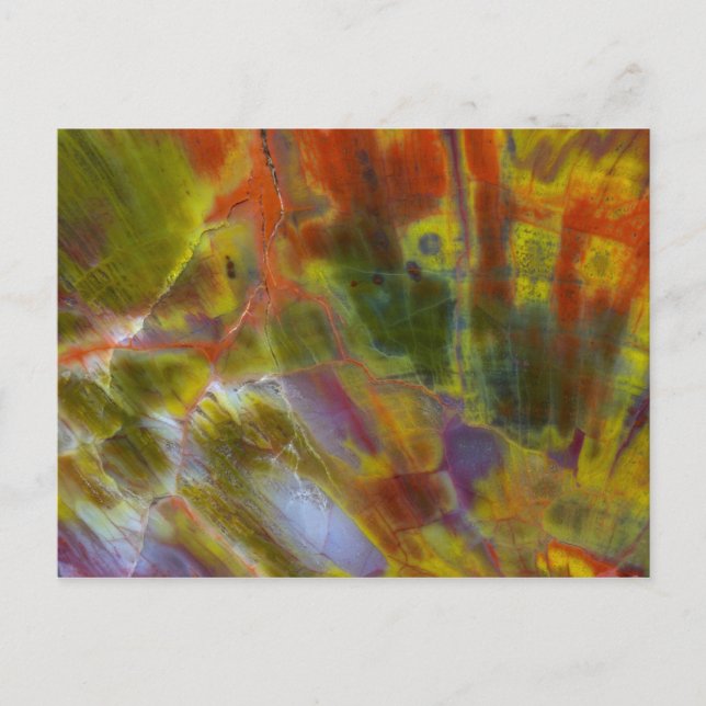 Rainbow Petrified Wood Postkarte (Vorderseite)