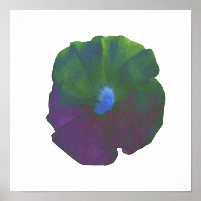 Rainbow Petunia Poster (Vorne)