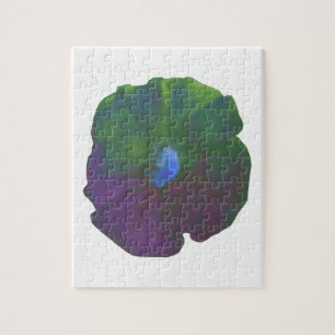Rainbow Petunia Puzzle