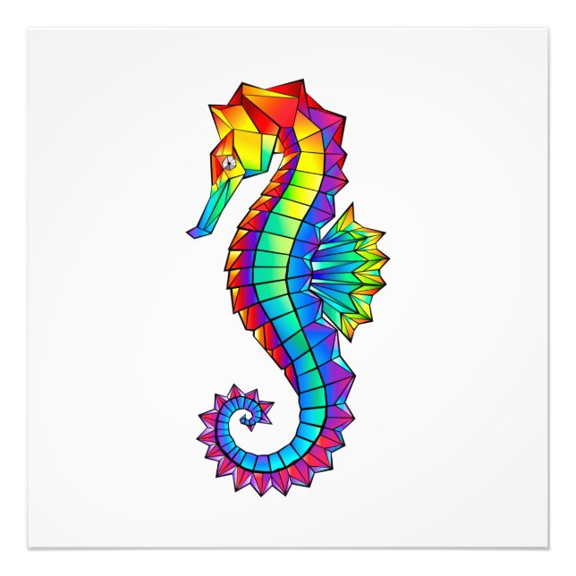 Rainbow Polygonal Seepferd Fotodruck (Vorne)