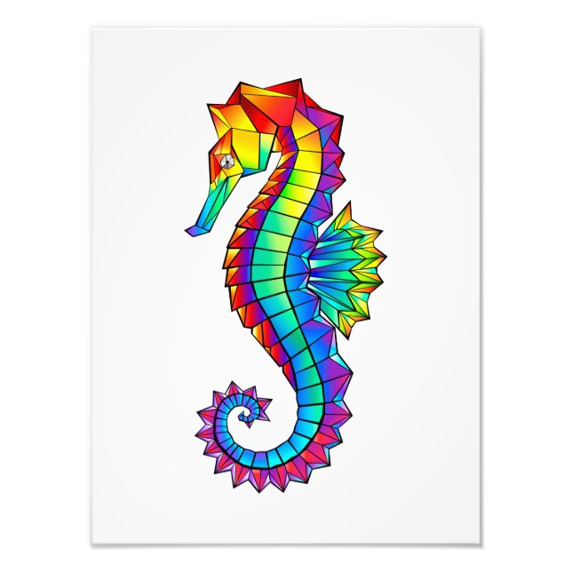Rainbow Polygonal Seepferd Fotodruck (Vorne)