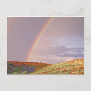 Rainbow Postcard Postkarte