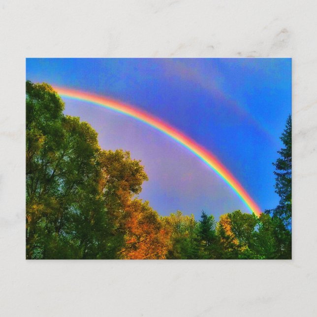 RAINBOW Postkarte (Vorderseite)