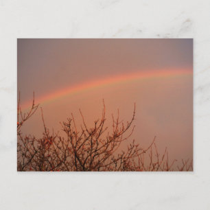 Rainbow Postkarte