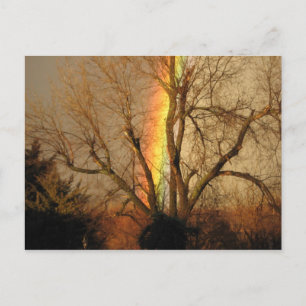 Rainbow Postkarte