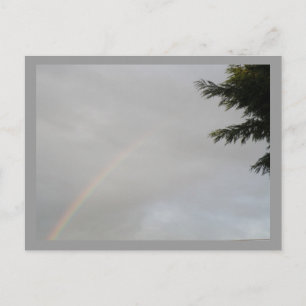 Rainbow Postkarte