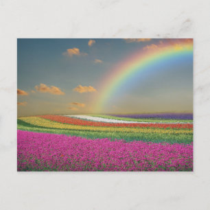 Rainbow Postkarte
