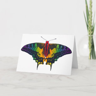 Rainbow Prilag Frack Butterfly Karte