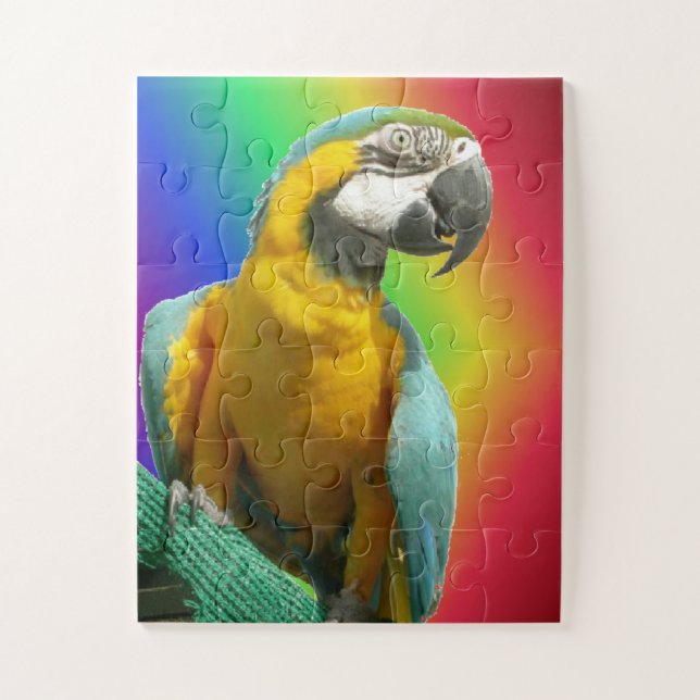 Rainbow Puzzle: Funny Talking Parrot Puzzle (Vertikal)