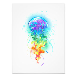 Rainbow-Qualle Fotodruck