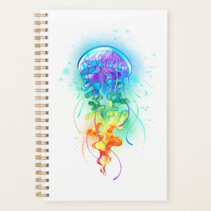 Rainbow-Qualle Planer