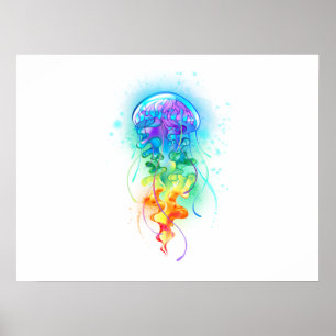 Rainbow-Qualle Poster