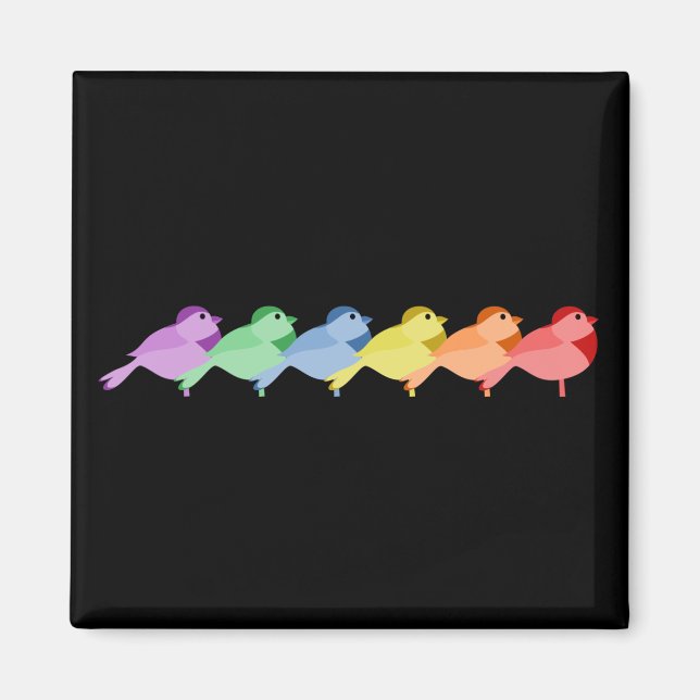 Rainbow Robins Magnet (Vorne)