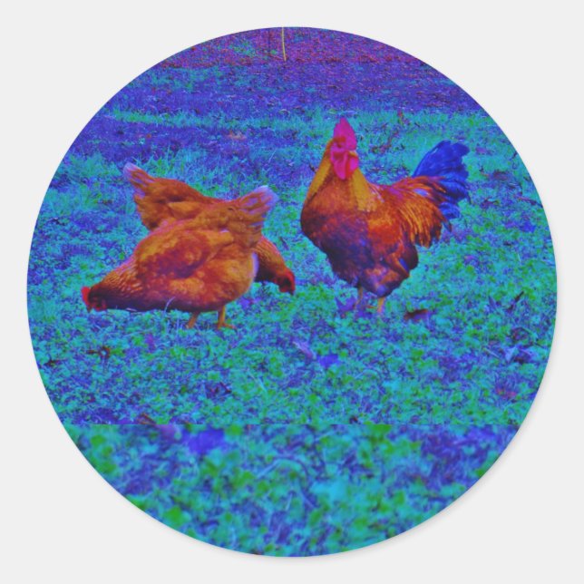 Rainbow Rooster & Hens, Electric Blue Runder Aufkleber (Vorderseite)