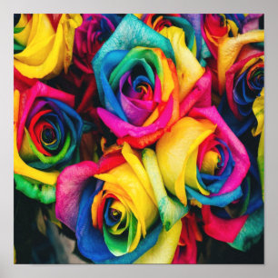 Rainbow Rose Bouquet Poster