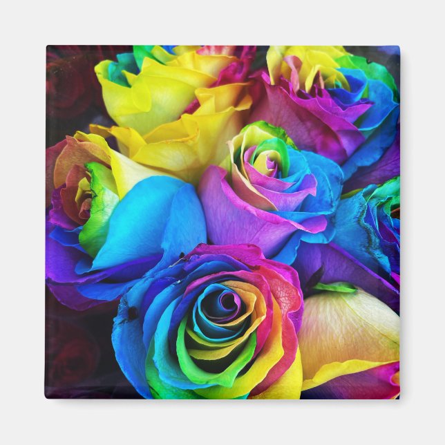 Rainbow Rose Magnet (Vorne)