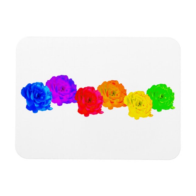 Rainbow-Rose Magnet (Horizontal)