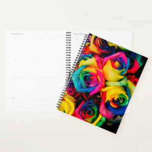 Rainbow-Rose Planer