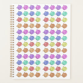 Rainbow-Rose Planer