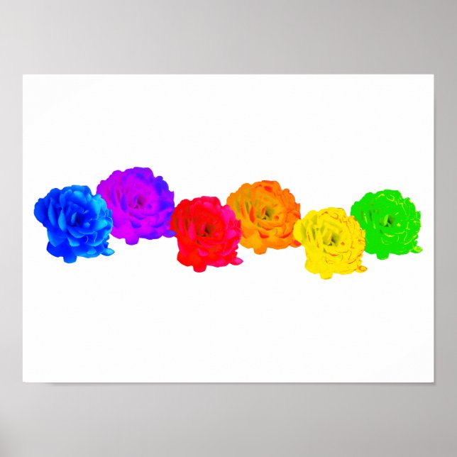 Rainbow-Rose Poster (Vorne)
