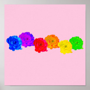 Rainbow-Rose Poster