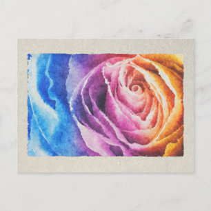 Rainbow-Rose Postkarte