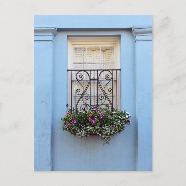 Rainbow Row Blume Box, Charleston, S.C. Postkarte (Vorderseite)