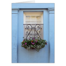 Rainbow Row Window Blume Box, Charleston, S.C.