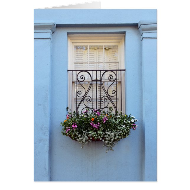 Rainbow Row Window Blume Box, Charleston, S.C. (Vorne)