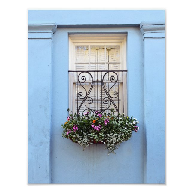Rainbow Row Window Blume Box, Charleston, S.C. Fotodruck (Vorne)