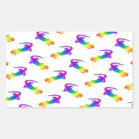 Rainbow Salamander
