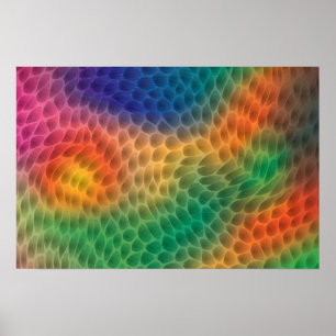 Rainbow-Scales-Poster Poster