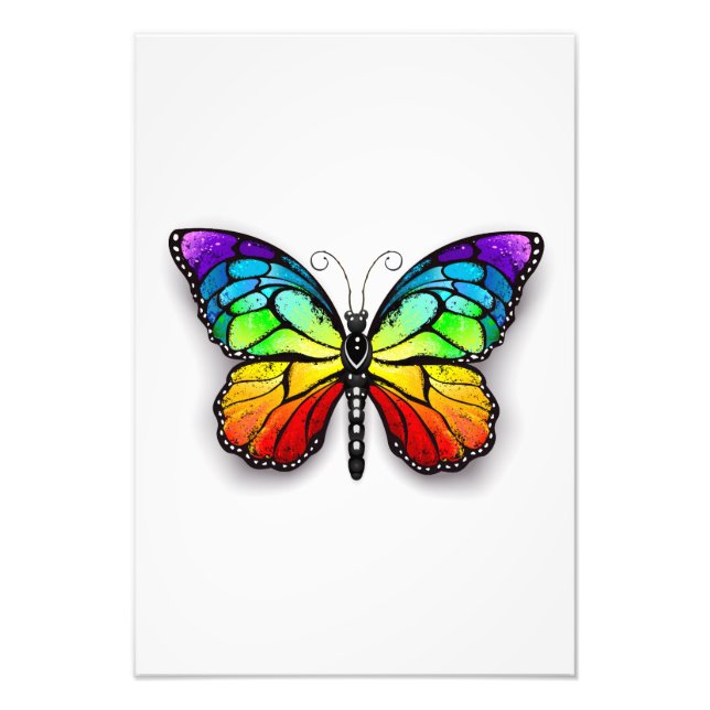 Rainbow-Schmetterling Monarch Fotodruck (Vorne)