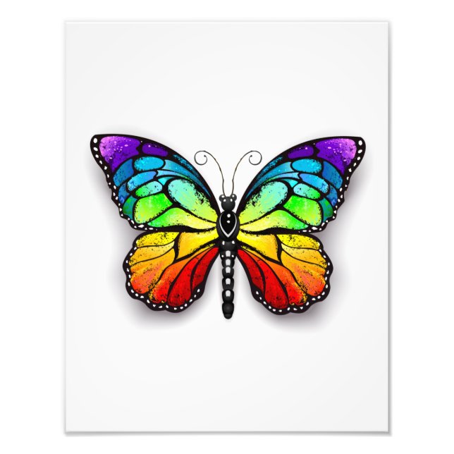 Rainbow-Schmetterling Monarch Fotodruck (Vorne)