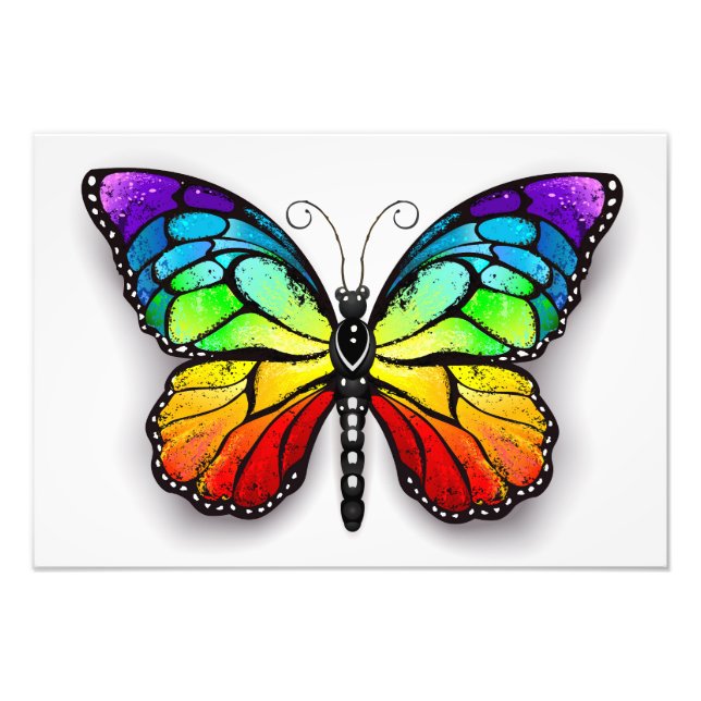 Rainbow-Schmetterling Monarch Fotodruck (Vorne)