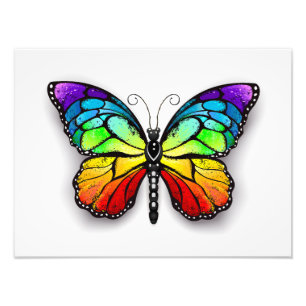 Rainbow-Schmetterling Monarch Fotodruck